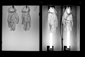 Rubber Gloves on X-Ray Viewer