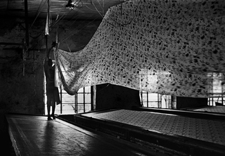 Cascade of Threads: Inside a Textile Factory