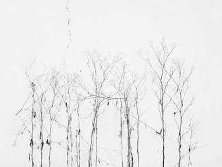 Life and Death 01 Life and Death 01