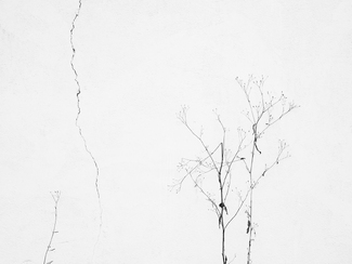Life and Death 02 Life and Death 02
