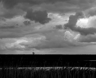 Birders in the Storm Birders in the Storm
