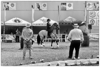 Juvenile Rider Evaluation Juvenile Rider Evaluation