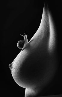 Un Petit Voyage Un Petit Voyage