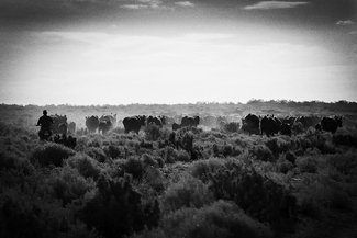 on the long track on the long track