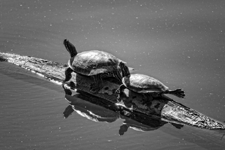 Are You Following Me Are You Following Me