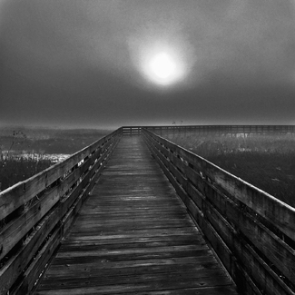 Mysterious Boardwalk Mysterious Boardwalk