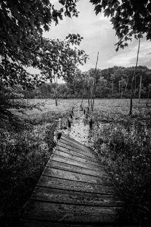 Abandoned Deck Abandoned Deck