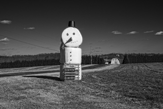 Happy 'Straw' Snowman #1