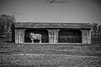 Taking Shelter #2 Taking Shelter #2