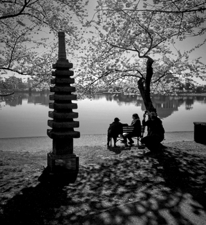 By the Stone Pagoda By the Stone Pagoda
