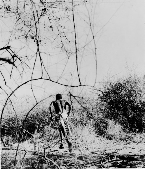 During the Hunt, NDOTO, Tanzania Dream