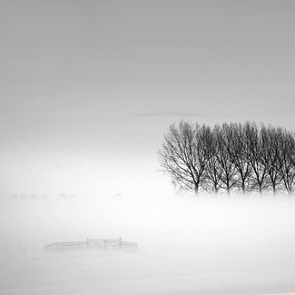 flatlands flatlands