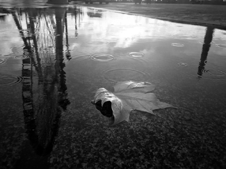 Eyespiration in Paris Eyespiration in Paris