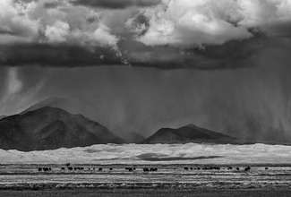 Approaching Storm