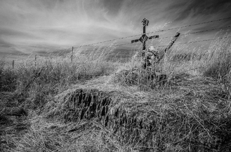 The Lonesome Cowboy The Lonesome Cowboy