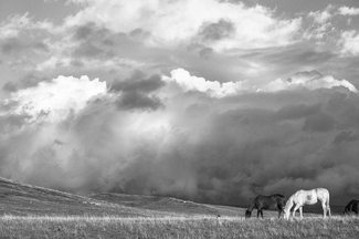 Clearing Out Clearing Out