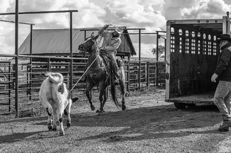 You Ain't Goin Anywhere You Ain't Goin Anywhere