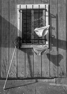 That's Disgusting That's Disgusting