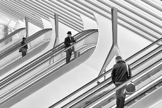 Travelling the Lines Travelling the Lines