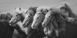 Party of Four Party of Four