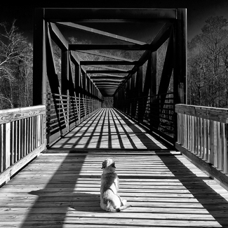 The Guardian The Guardian