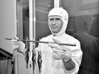 Smoked Craftsman of Japan Smoked Craftsman of Japan