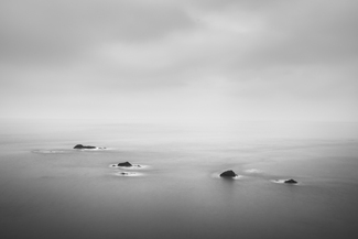 Le Petite Herpin - Study 1 Le Petite Herpin - Study 1