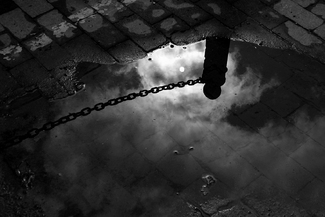 After the rain #3638 After the rain #3638