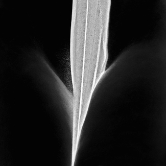 L'origine della luce L'origine della luce