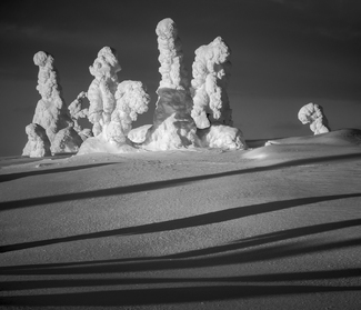 Dwellers of the Cold Dwellers of the Cold