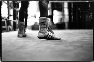 The Boxing Ring The Boxing Ring