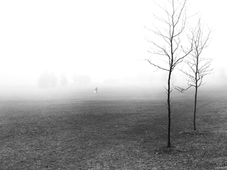 The Walking Man The Walking Man