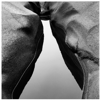 COASTAL SCULPTURE 1  COASTAL SCULPTURE 1