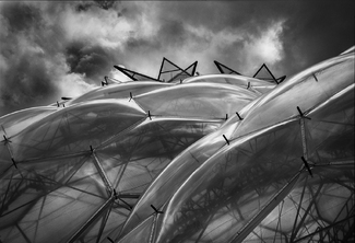 eden project eden project