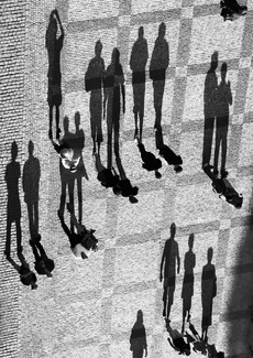 Independence Of Shadows Independence Of Shadows