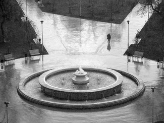 Solitude in the rain Solitude in the rain