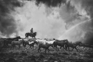 Cowboy Rainbow Cowboy Rainbow