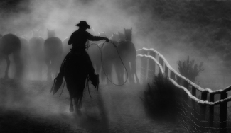 Takin em Home Takin em Home