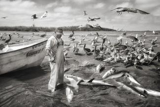 Mexican Fisherman Mexican Fisherman