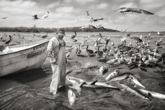 Mexican Fisherman