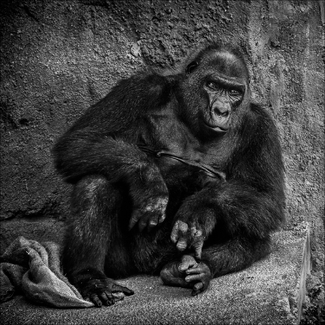 Tired and Defeated Tired and Defeated