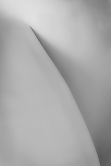 Gehry Study 9 Gehry Study 9