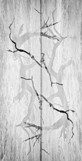 A Squirrel's Ladder A Squirrel's Ladder