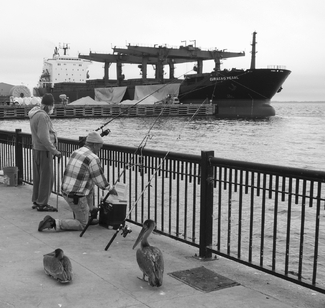 Fishing at the Port Fishing at the Port
