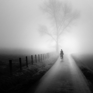 Foggy Day Foggy Day