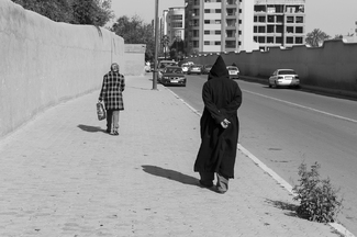 Hooded Follower Hooded Follower