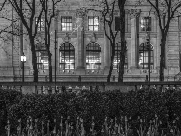 NYC Library