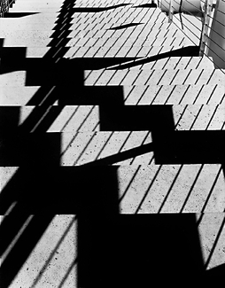 Flight of Descending Shadows Flight of Descending Shadows