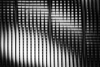 Black and White Black and White