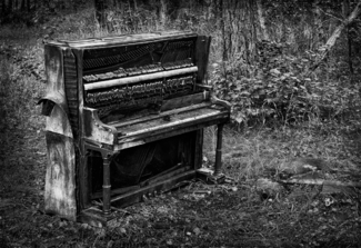 Piano in the Woods